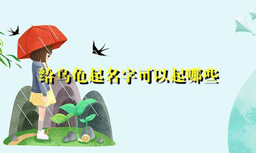 给乌龟起名字可以起哪些