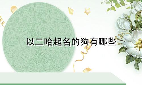 以二哈起名的狗有哪些