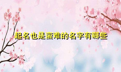 起名也是蛮难的名字有哪些