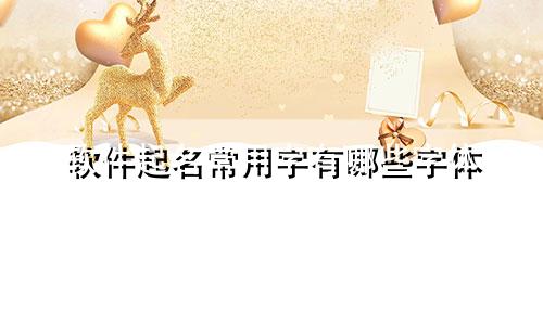 软件起名常用字有哪些字体