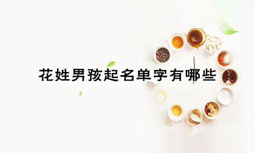 花姓男孩起名单字有哪些