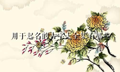用于起名的古字大全集有哪些