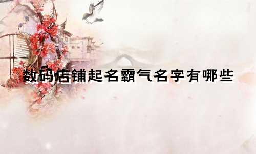 数码店铺起名霸气名字有哪些