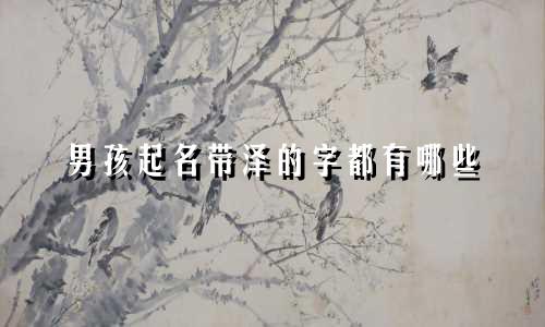 男孩起名带泽的字都有哪些
