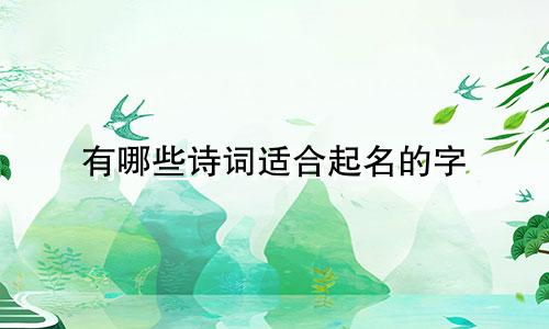 有哪些诗词适合起名的字