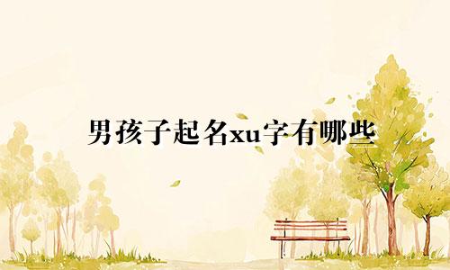 男孩子起名xu字有哪些