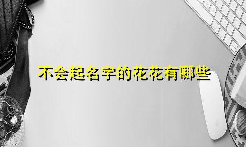 不会起名字的花花有哪些