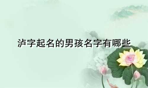 泸字起名的男孩名字有哪些