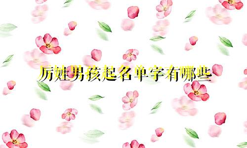 厉姓男孩起名单字有哪些