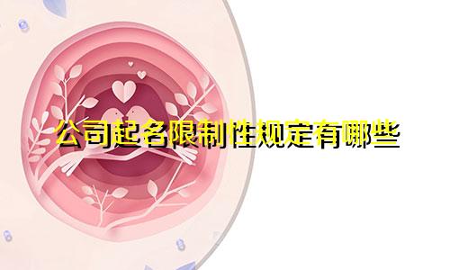 公司起名限制性规定有哪些