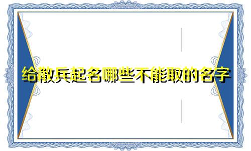 给散兵起名哪些不能取的名字