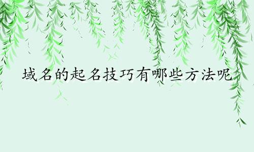 域名的起名技巧有哪些方法呢