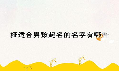 桠适合男孩起名的名字有哪些