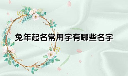 兔年起名常用字有哪些名字