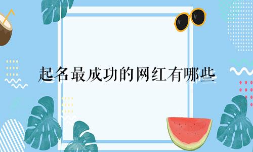 起名最成功的网红有哪些