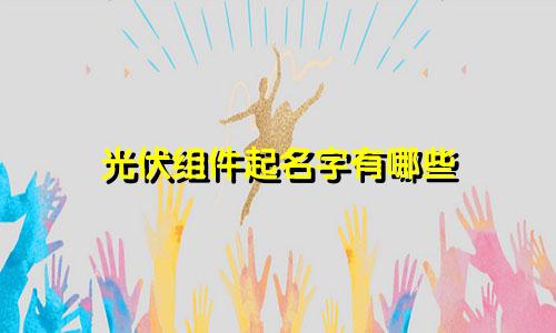 光伏组件起名字有哪些