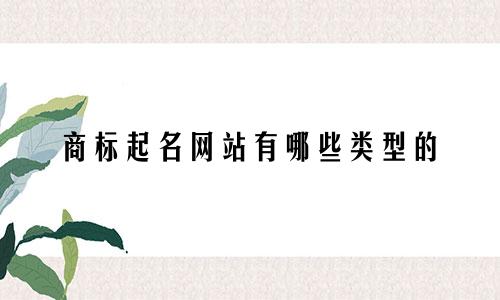 商标起名网站有哪些类型的