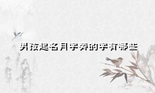 男孩起名月字旁的字有哪些