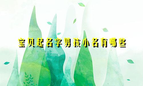 宝贝起名字男孩小名有哪些