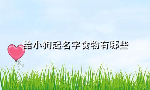给小狗起名字食物有哪些