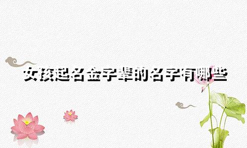 女孩起名金字辈的名字有哪些