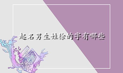 起名男生姓徐的字有哪些