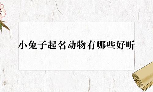 小兔子起名动物有哪些好听