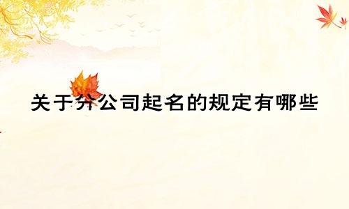 关于分公司起名的规定有哪些