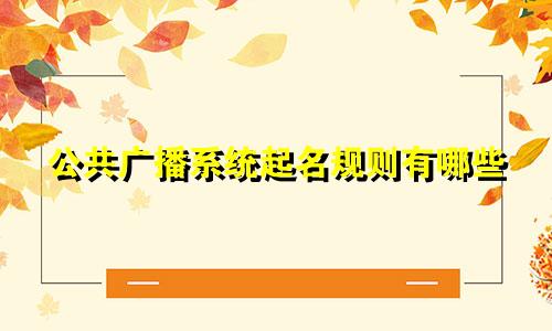 公共广播系统起名规则有哪些