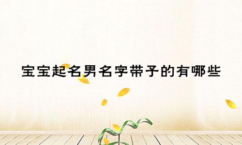 宝宝起名男名字带子的有哪些