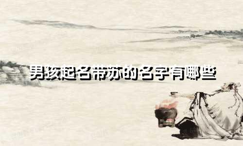 男孩起名带苏的名字有哪些