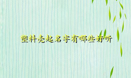 塑料壳起名字有哪些好听