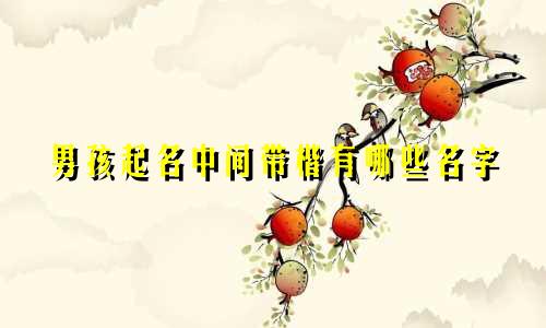 男孩起名中间带楷有哪些名字