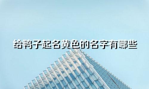 给鸭子起名黄色的名字有哪些
