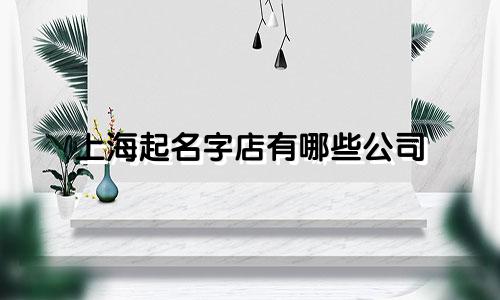 上海起名字店有哪些公司