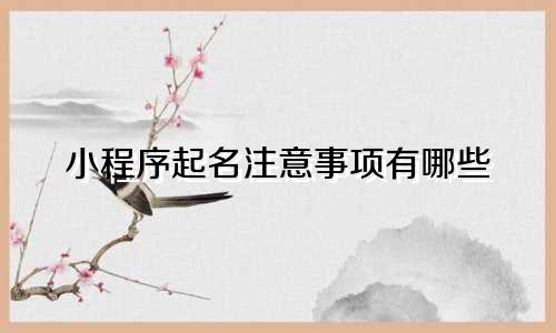 小程序起名注意事项有哪些