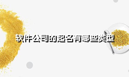 软件公司的起名有哪些类型