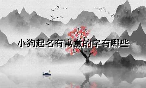 小狗起名有寓意的字有哪些