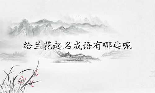 给兰花起名成语有哪些呢