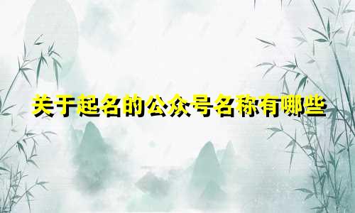 关于起名的公众号名称有哪些