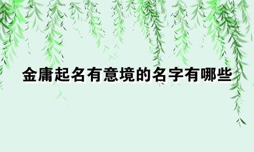 金庸起名有意境的名字有哪些