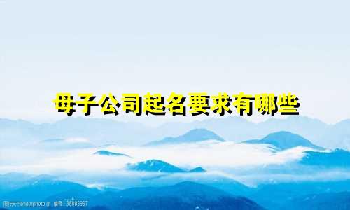母子公司起名要求有哪些