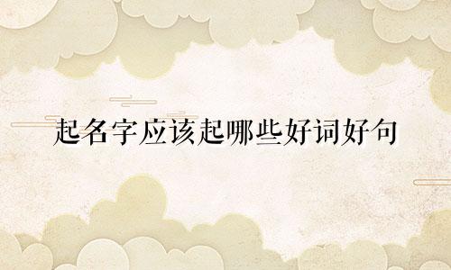 起名字应该起哪些好词好句