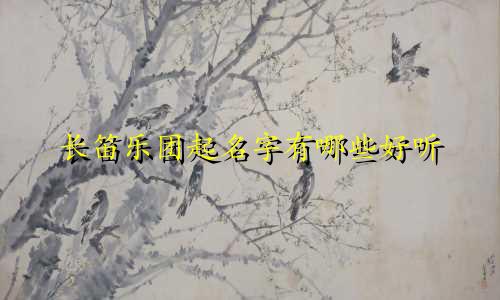 长笛乐团起名字有哪些好听