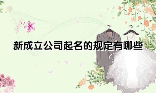 新成立公司起名的规定有哪些