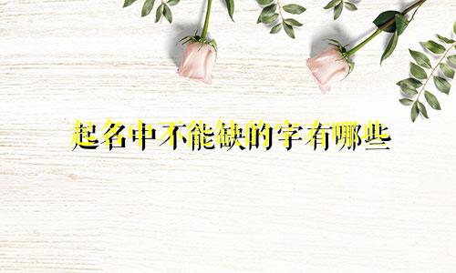 起名中不能缺的字有哪些