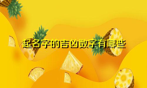 起名字的吉凶数字有哪些