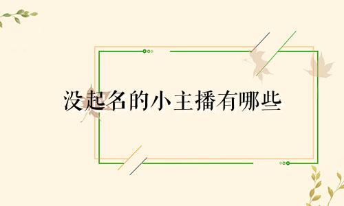 没起名的小主播有哪些