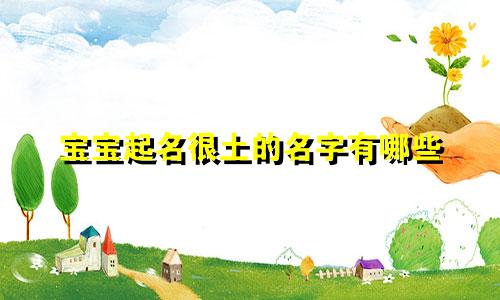 宝宝起名很土的名字有哪些