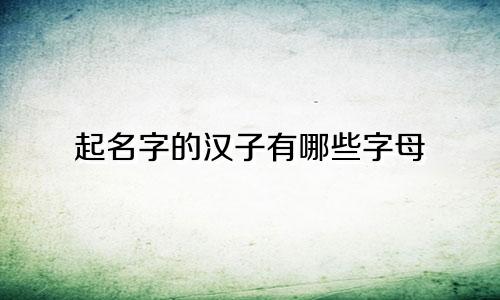 起名字的汉子有哪些字母